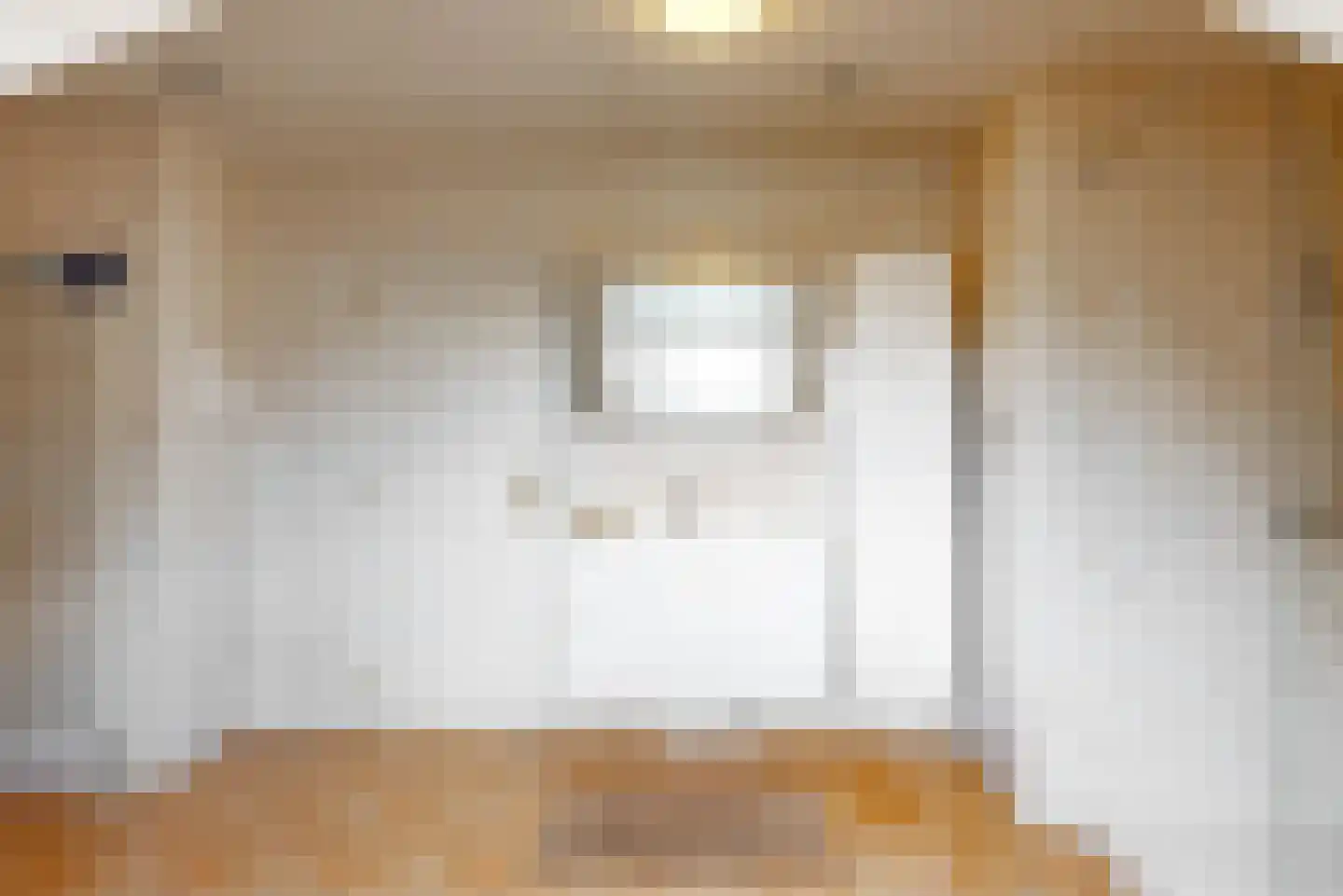 Brigittastraat 4 Ittervoort thumbnail 23
