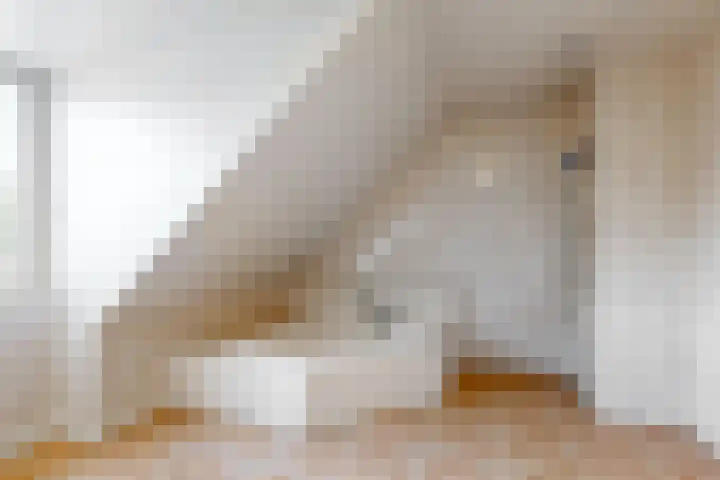 Brigittastraat 4 Ittervoort thumbnail 24