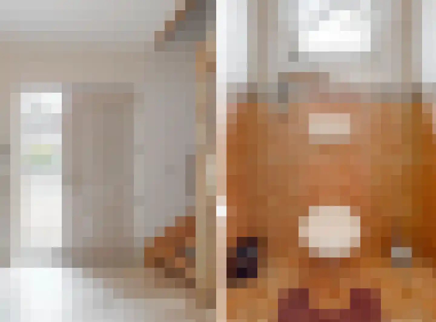 Brigittastraat 4 Ittervoort thumbnail 4