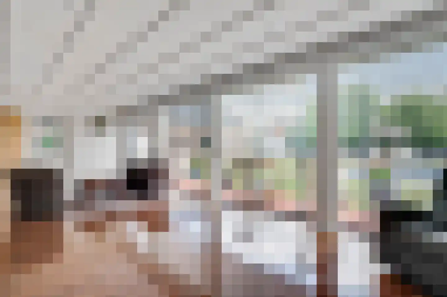 Brigittastraat 4 Ittervoort thumbnail 7