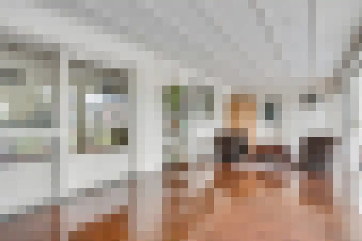 Brigittastraat 4 Ittervoort thumbnail 8