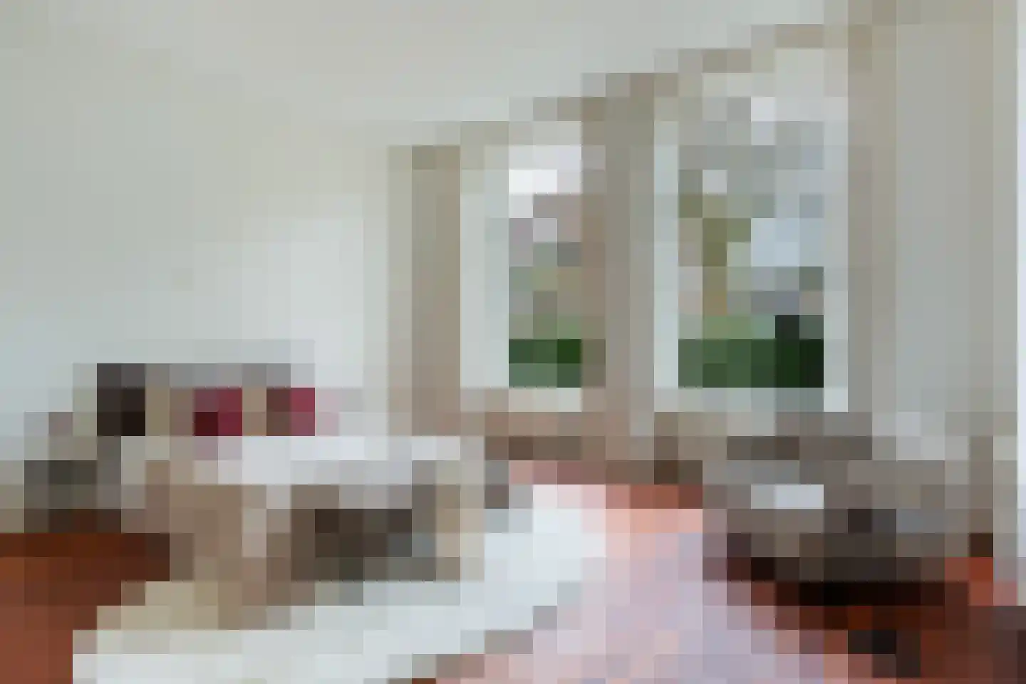 Brigittenstraat 3 A Utrecht thumbnail 32