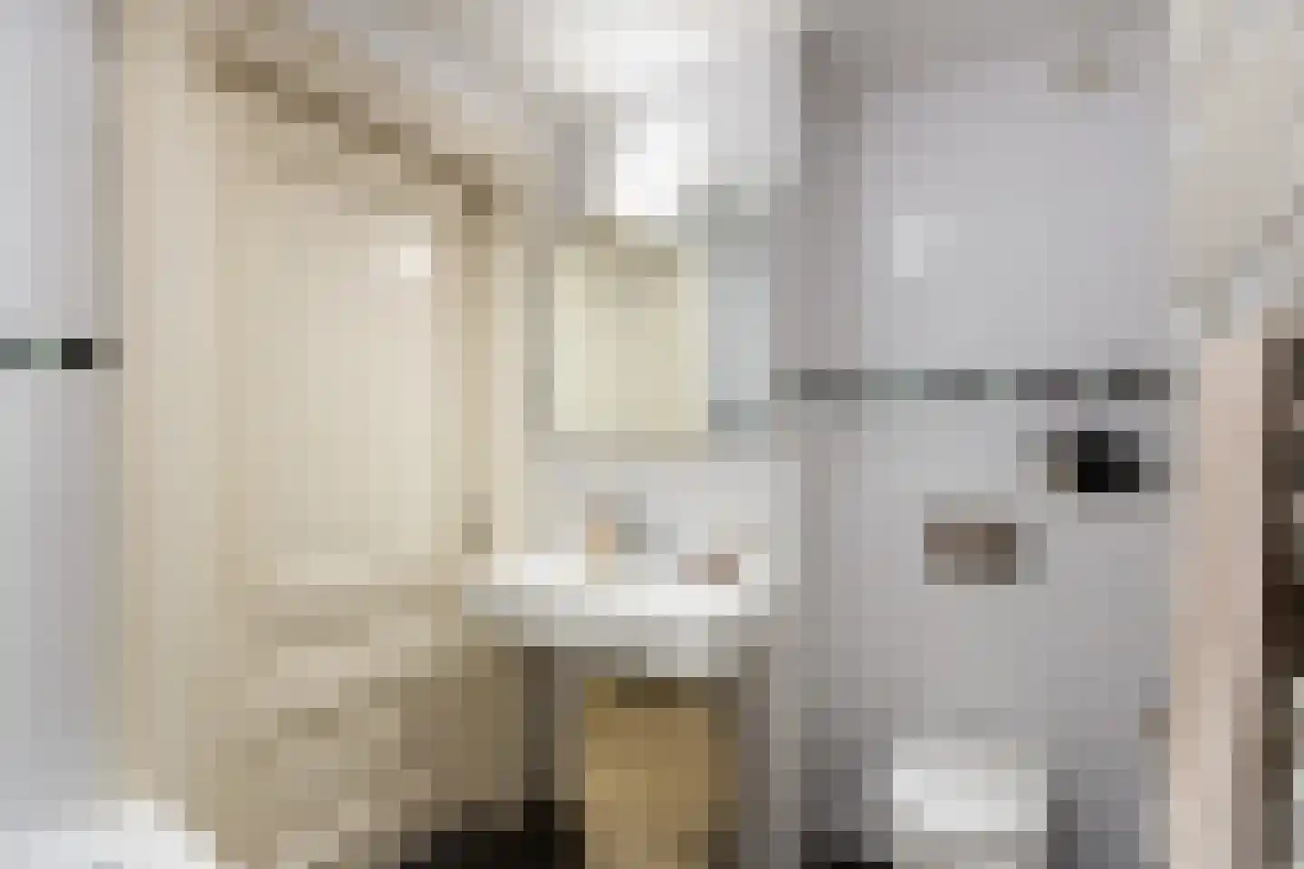 Brigittenstraat 3 A Utrecht thumbnail 36