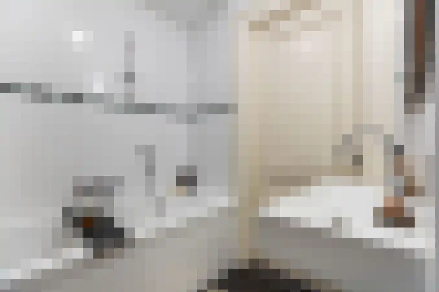 Brigittenstraat 3 A Utrecht thumbnail 39