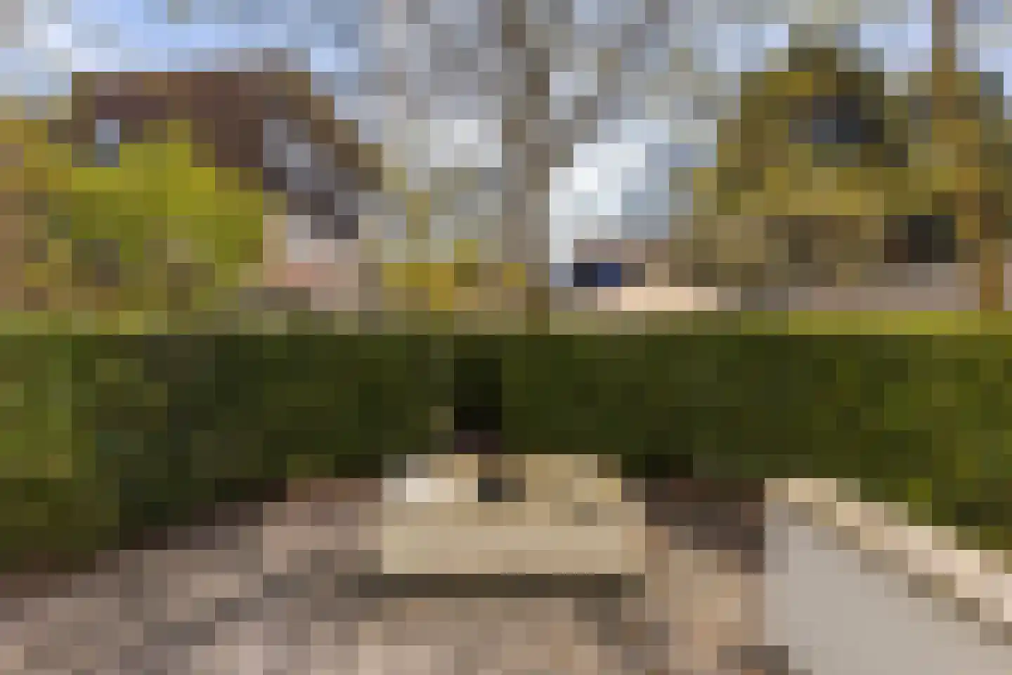 Brigittenstraat 3 A Utrecht thumbnail 44