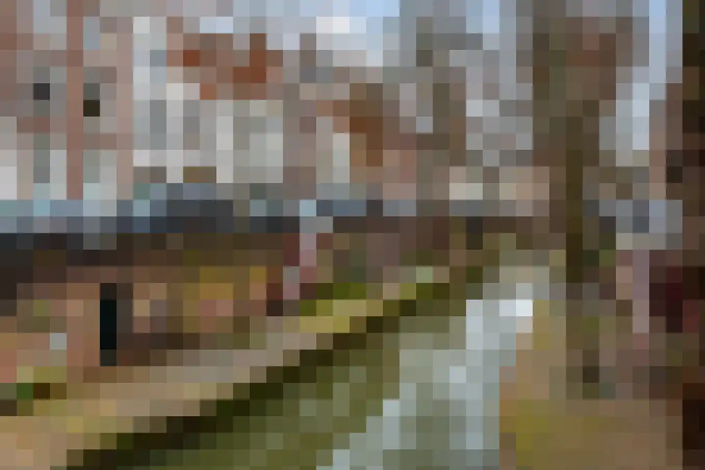Brigittenstraat 3 A Utrecht thumbnail 49