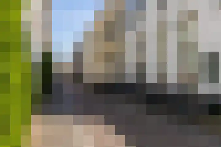 Brigittenstraat 3 B Utrecht thumbnail 64