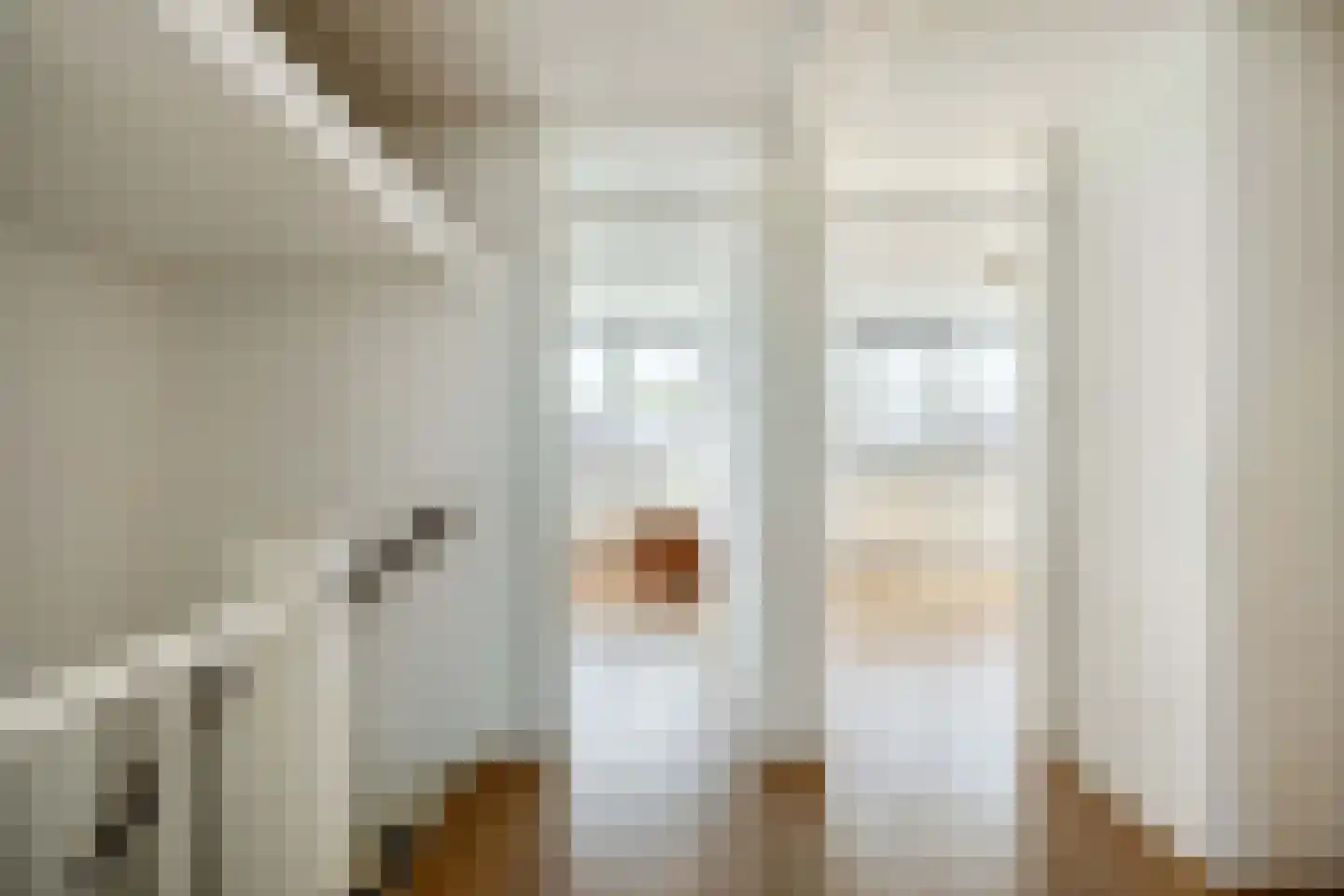 Brik 22 Lemmer thumbnail 30