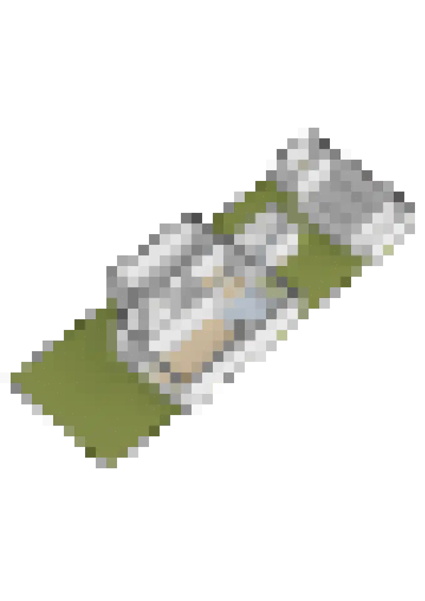 Brik 22 Lemmer thumbnail 50