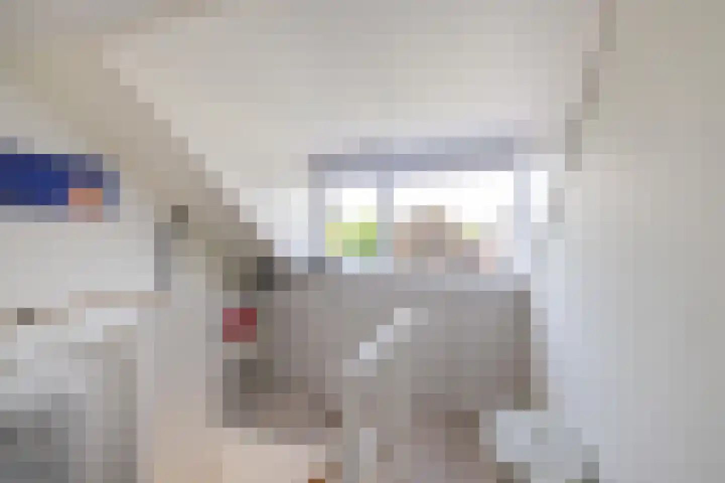 Brik 28 Zuidhorn thumbnail 35