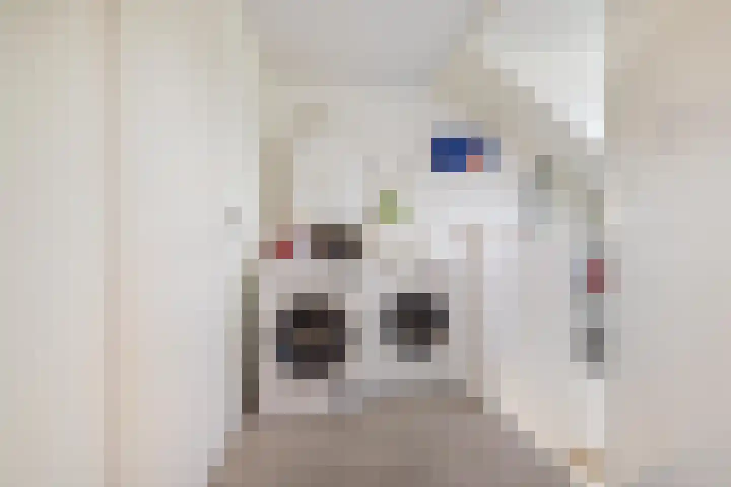 Brik 28 Zuidhorn thumbnail 36