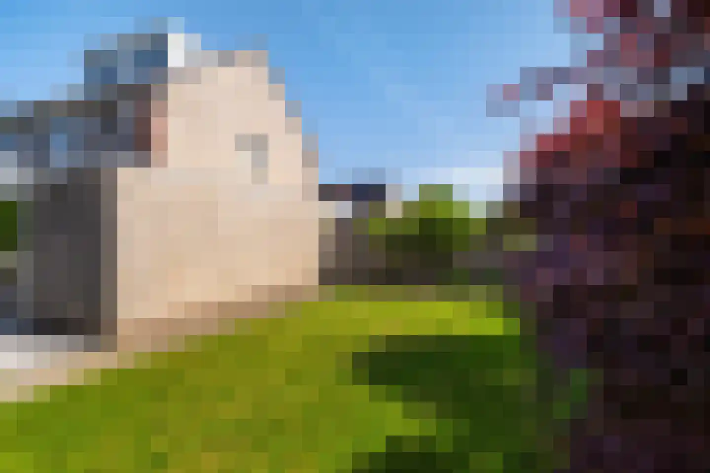 Brik 28 Zuidhorn thumbnail 42