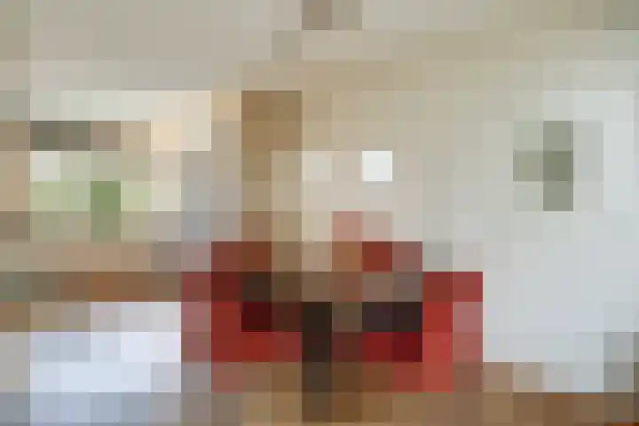 Brik 34 Hoorn thumbnail 10