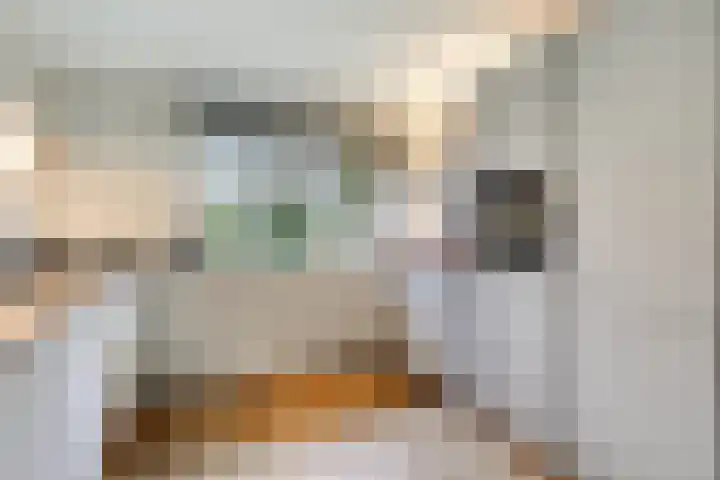 Brik 34 Hoorn thumbnail 11