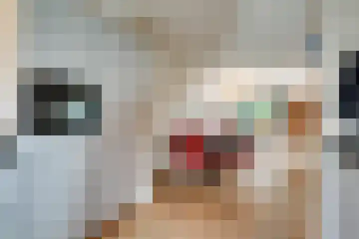 Brik 34 Hoorn thumbnail 14