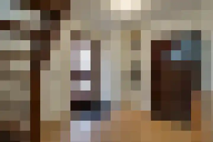 Brik 34 Hoorn thumbnail 15