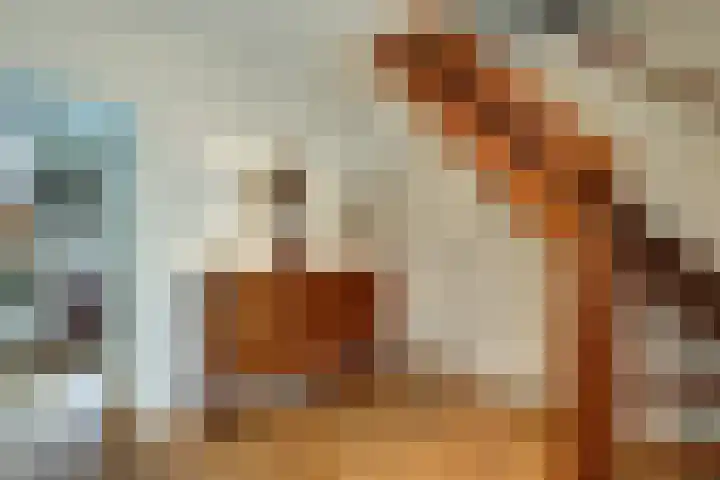 Brik 34 Hoorn thumbnail 16