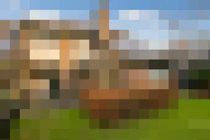 Brik 34 Hoorn thumbnail 18