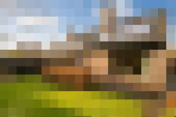 Brik 34 Hoorn thumbnail 19