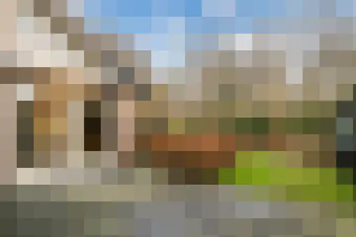 Brik 34 Hoorn thumbnail 20