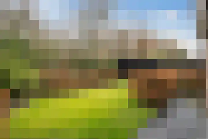 Brik 34 Hoorn thumbnail 21