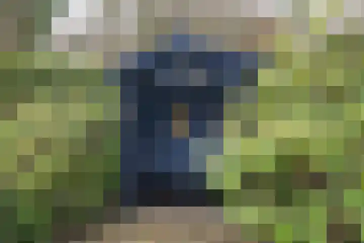 Brik 34 Hoorn thumbnail 22