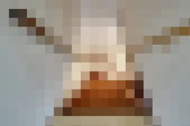Brik 34 Hoorn thumbnail 23