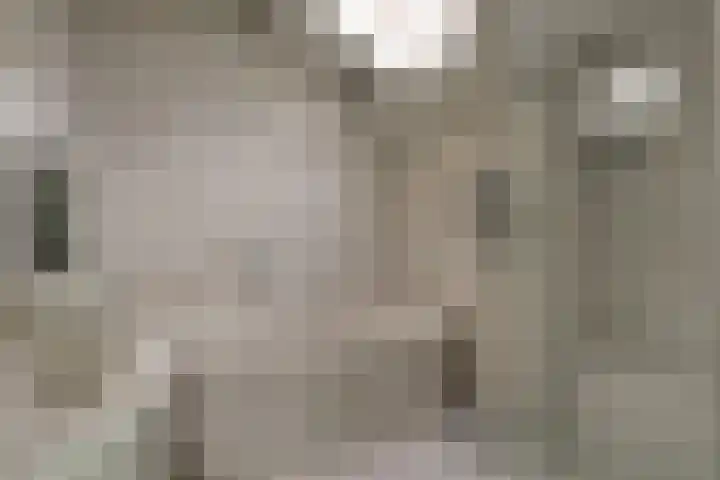 Brik 34 Hoorn thumbnail 28