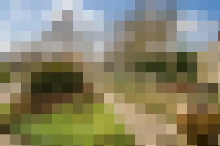 Brik 34 Hoorn thumbnail 41