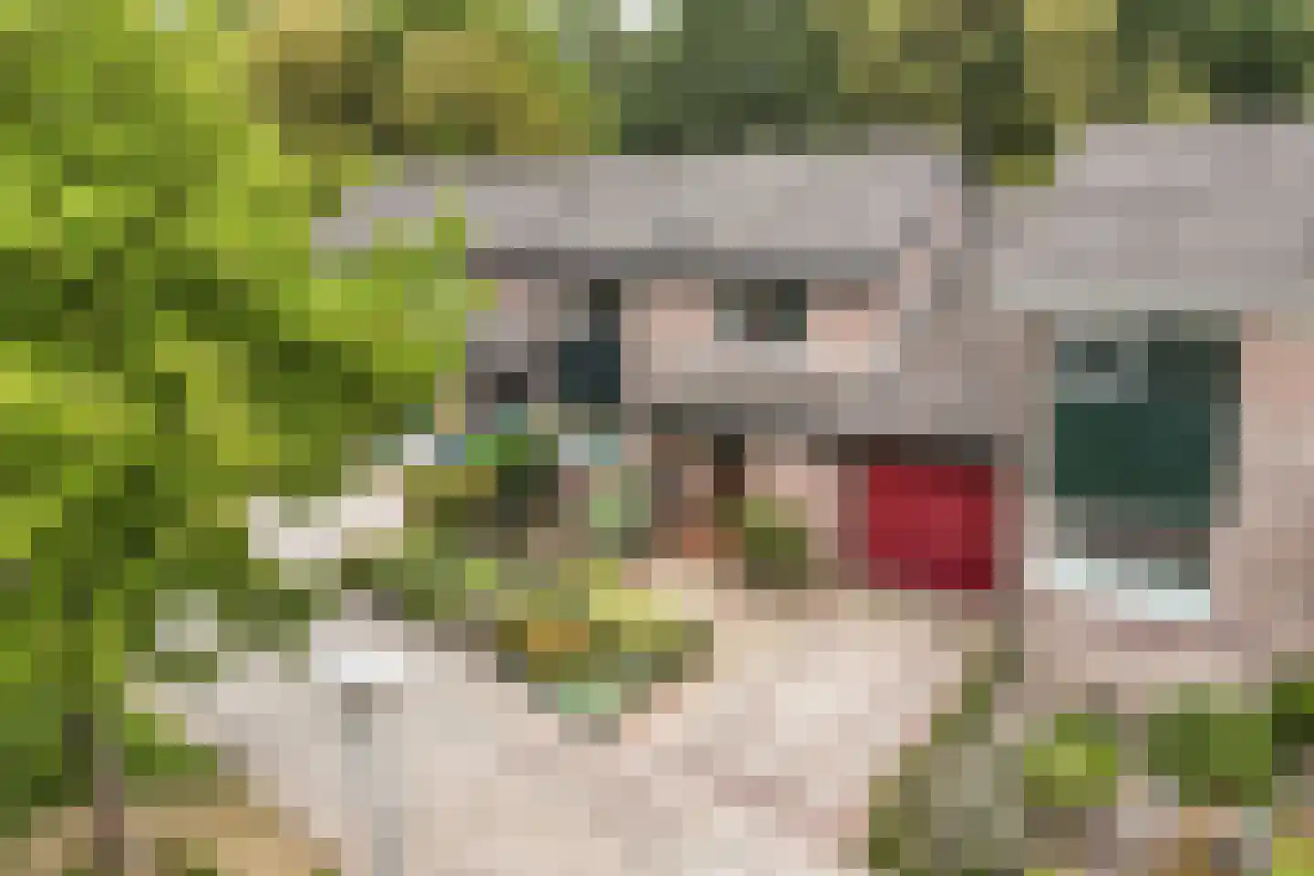 Brik 35 Hoorn thumbnail 8