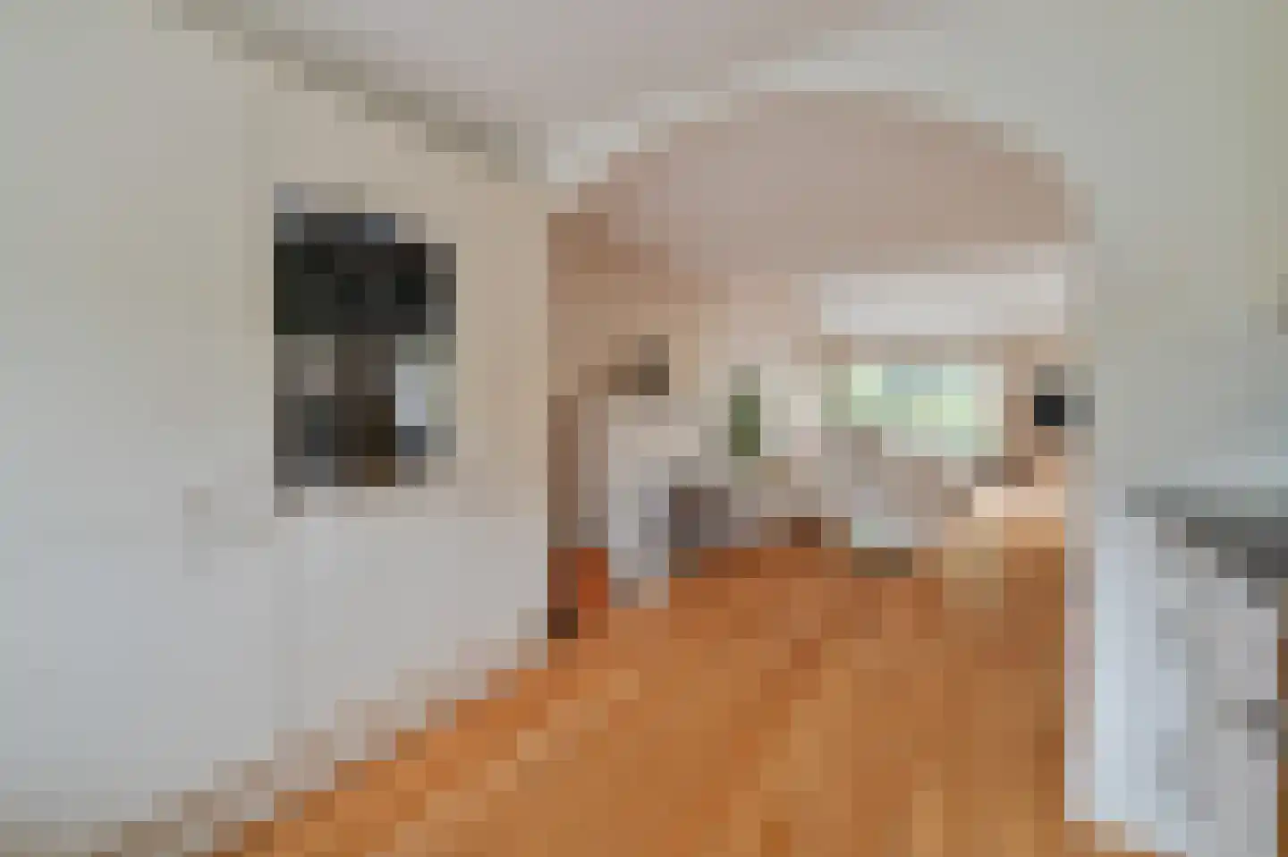 Brik 94 Hoorn thumbnail 11