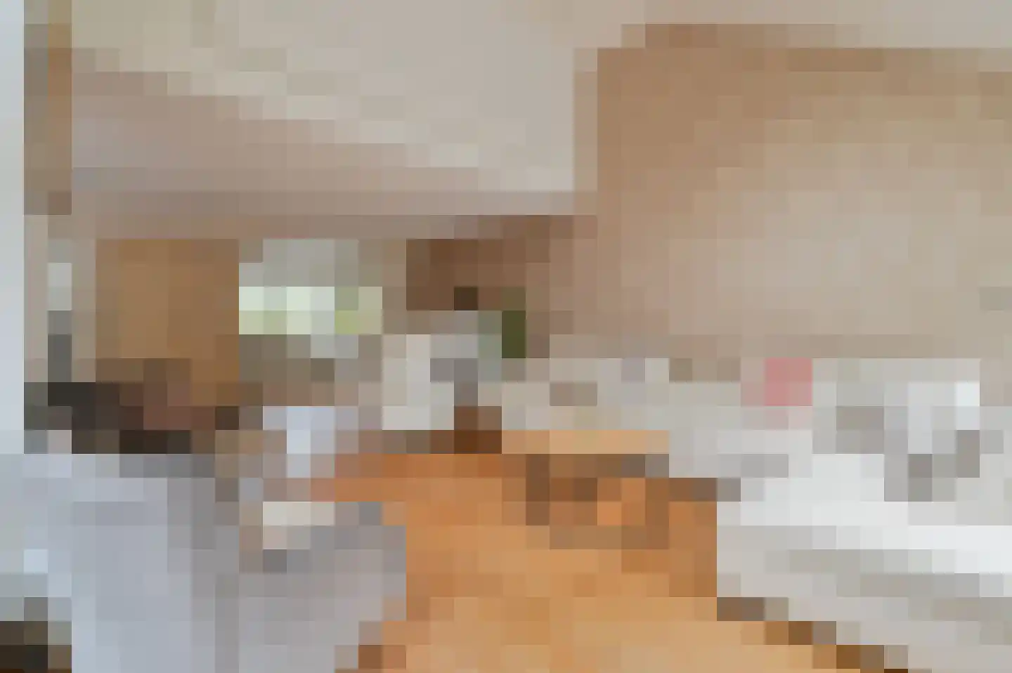 Brik 94 Hoorn thumbnail 4