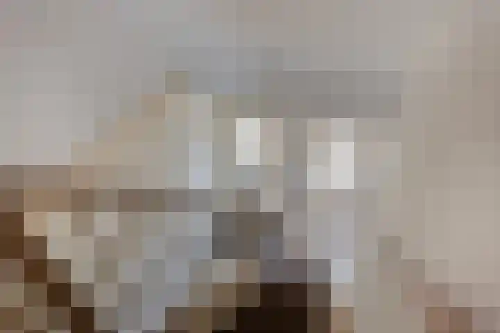 Brikhof 15 Purmerend thumbnail 12