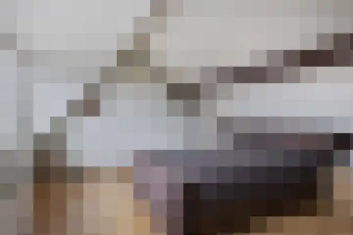 Brikhof 15 Purmerend thumbnail 21