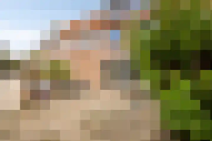 Brikhof 15 Purmerend thumbnail 25