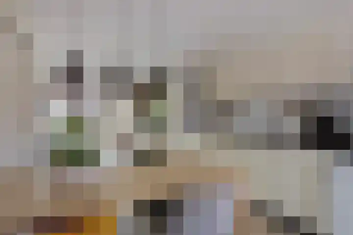 Brikhof 15 Purmerend thumbnail 4