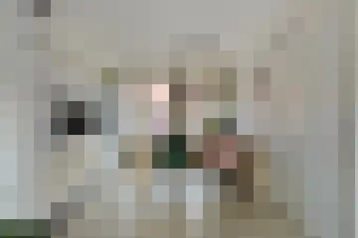 Brikhof 15 Purmerend thumbnail 6