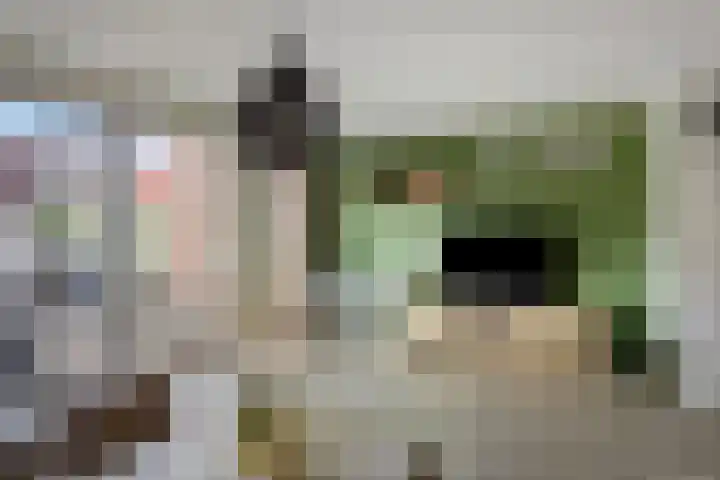 Brikhof 15 Purmerend thumbnail 7