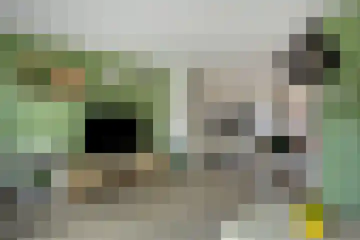 Brikhof 15 Purmerend thumbnail 8