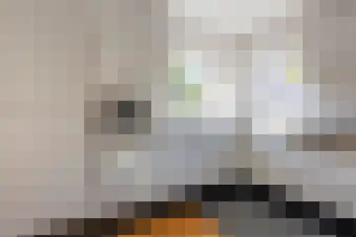Brikkebekker 32 Landgraaf thumbnail 11