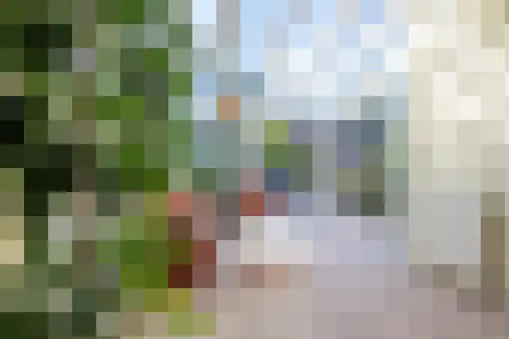 Brikkebekker 32 Landgraaf thumbnail 13