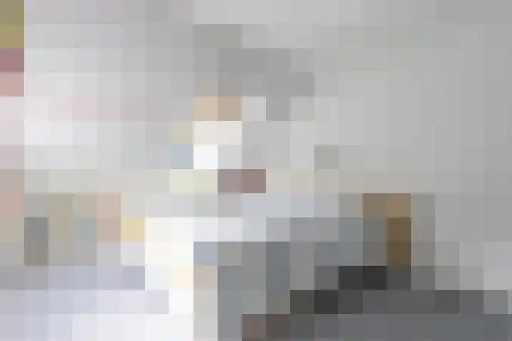 Brikkebekker 32 Landgraaf thumbnail 18