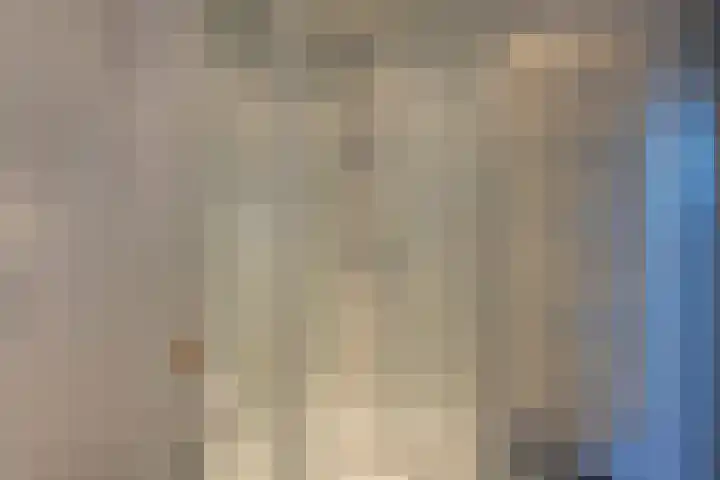 Brikkebekker 32 Landgraaf thumbnail 22