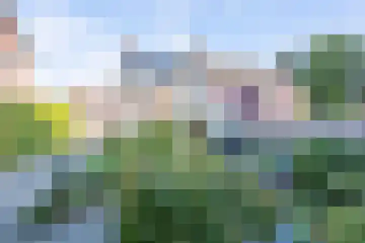 Brikkebekker 32 Landgraaf thumbnail 25