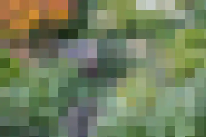 Brikkebekker 32 Landgraaf thumbnail 26