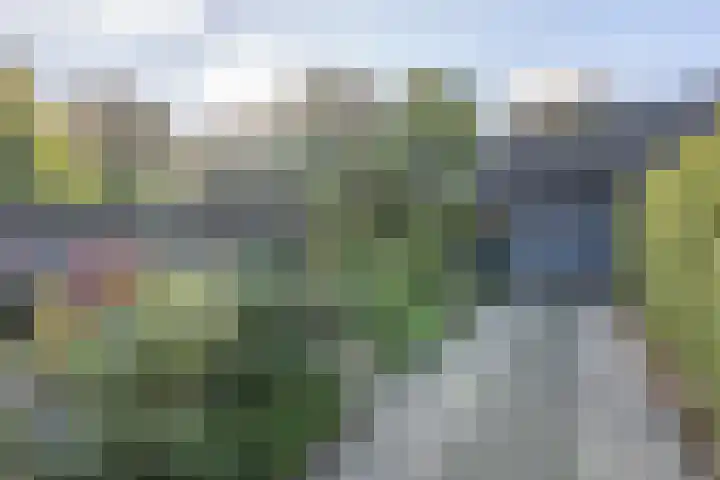 Brikkebekker 32 Landgraaf thumbnail 27