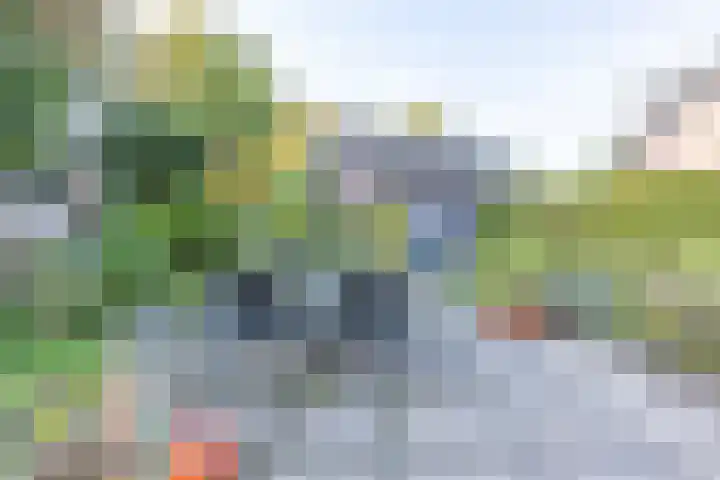 Brikkebekker 32 Landgraaf thumbnail 28