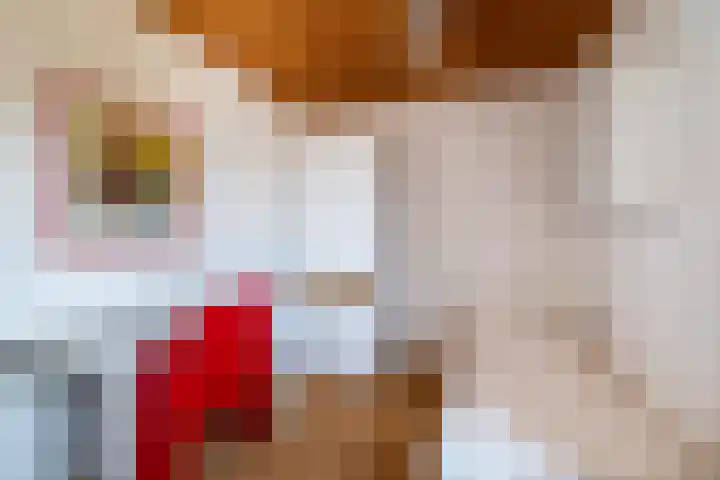 Brikkebekker 55 Landgraaf thumbnail 17