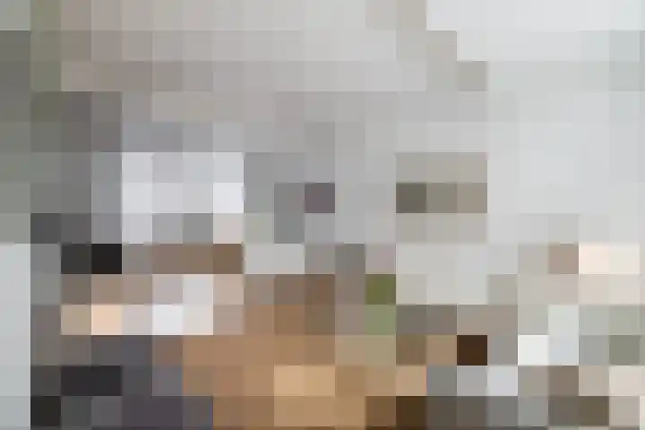 Brikkebekker 55 Landgraaf thumbnail 5