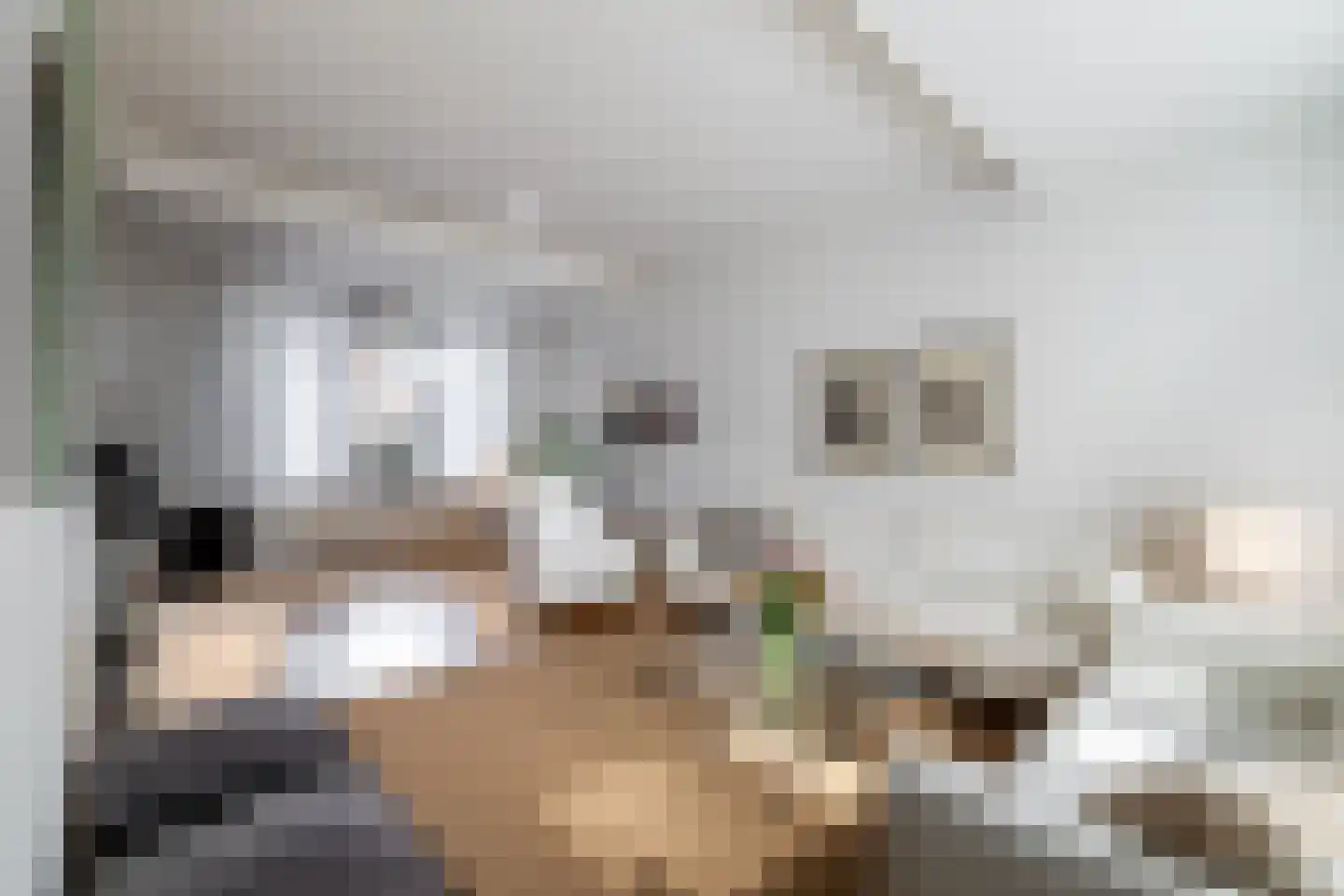 Brikkebekker 55 Landgraaf thumbnail 5